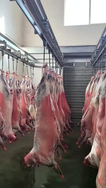 榆林横山羊肉