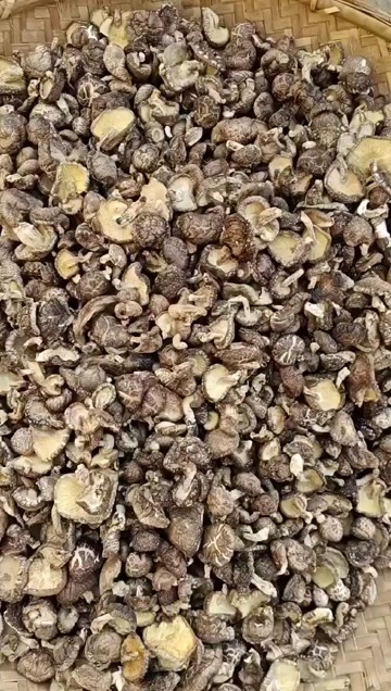 南漳县湖北野生干香菇 新鲜采摘 产地直销 食品安全有保障
