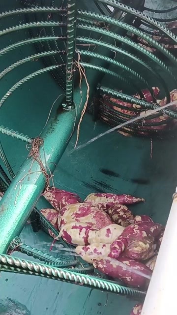 正阳县纯红薯淀粉