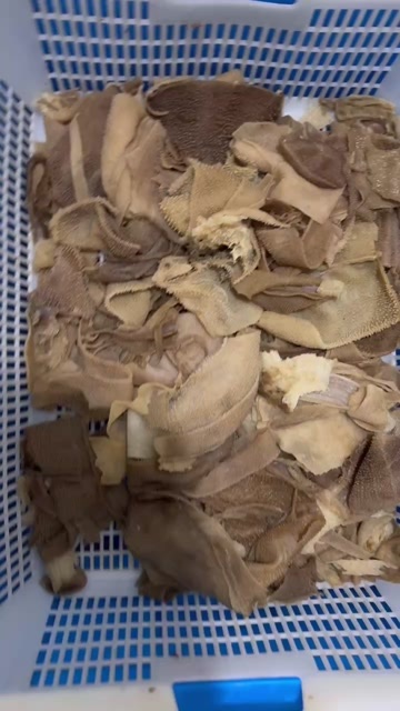 成都牛毛肚 叶片边角 二指条碎叶片 5斤装