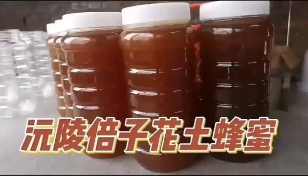 张家界土蜂蜜