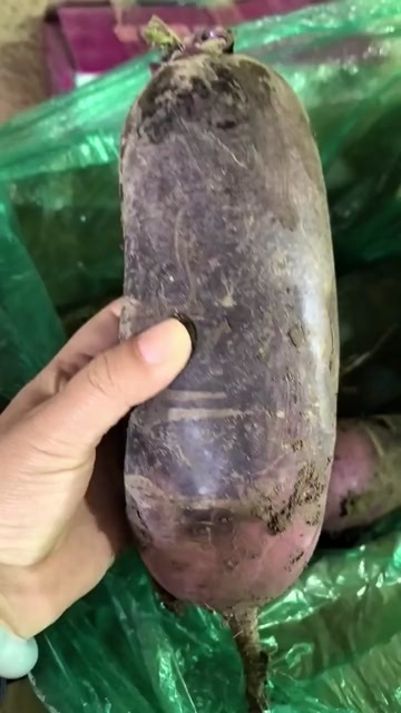 寿光市紫皮冰激凌萝卜心里美脆甜水果萝卜