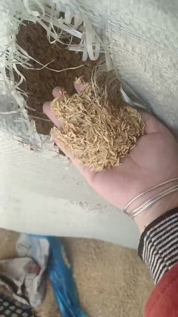 武汉稻壳