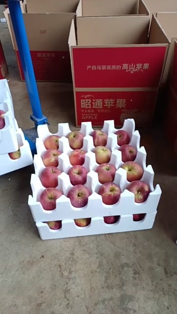 昭通昭通冰糖丑苹果
