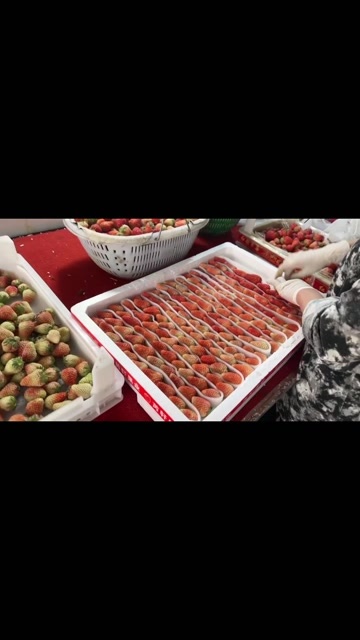 大量供应奶茶店，蛋糕店，供应链，商超，市场，精通各种包装