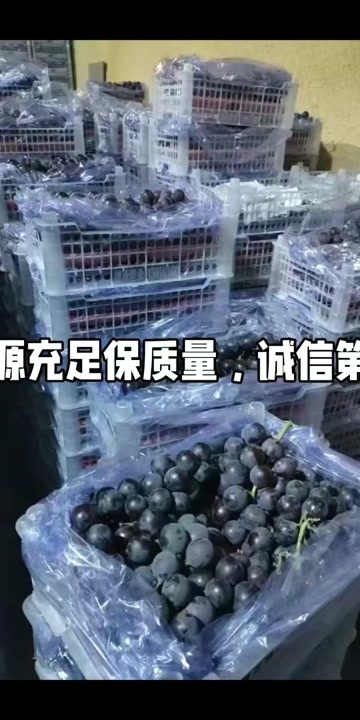 北镇市阳光玫瑰，巨峰葡萄大量现货，价格便宜，多大包装都有，粒大色黑