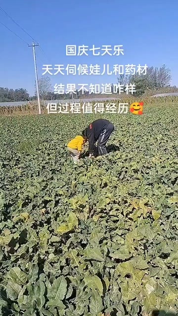 青岛产地直销量大优惠