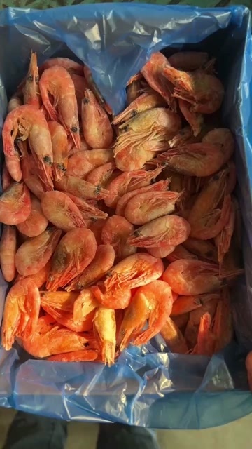 头籽北极虾甜虾小盒装1.2