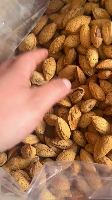 奶香五箱薄皮巴旦木坚果特产零食厂家批发