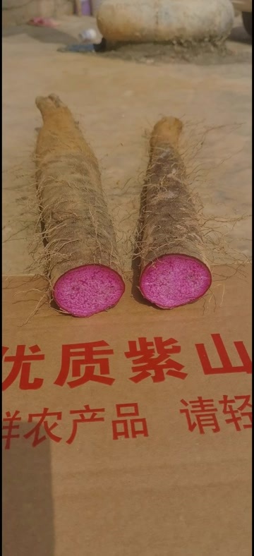 马关县紫山药