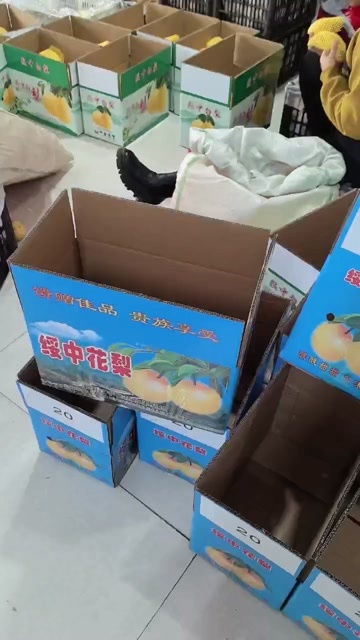 绥中县东北特产绥中白梨水灵脆甜多汁润肺