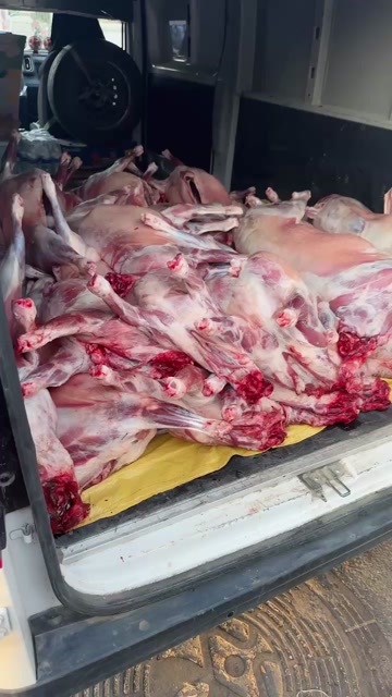 菏泽国产鲜羊肉 白条羊 山东省菏泽市牡丹区发货