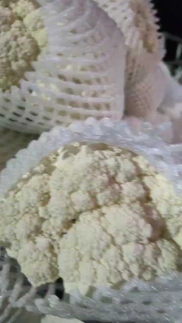 泾阳县松花