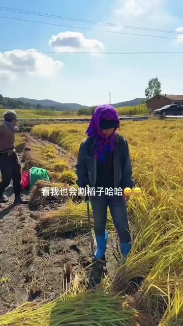 五常市黑龙江五常稻花香一等品优质粳米5公斤装