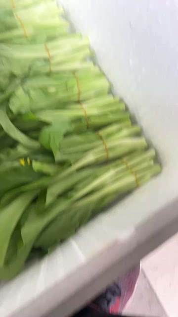 长沙白菜苔红菜苔大量有货，没有可以走9.6米的车