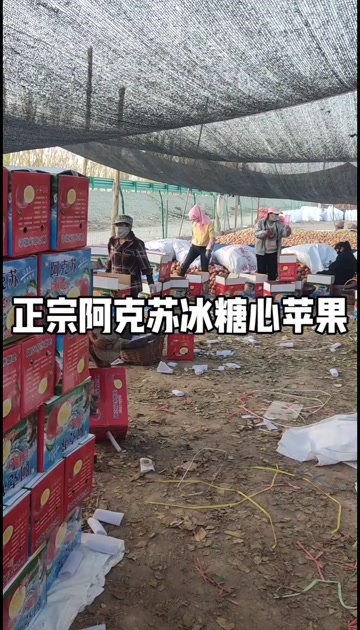 新疆阿克苏冰糖心苹果，每一颗都有满满的冰糖心，有一级果，二级