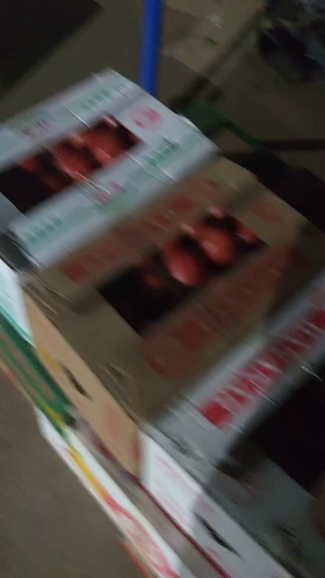 河间市大果硬粉西红柿，产品好，果行好，品质高