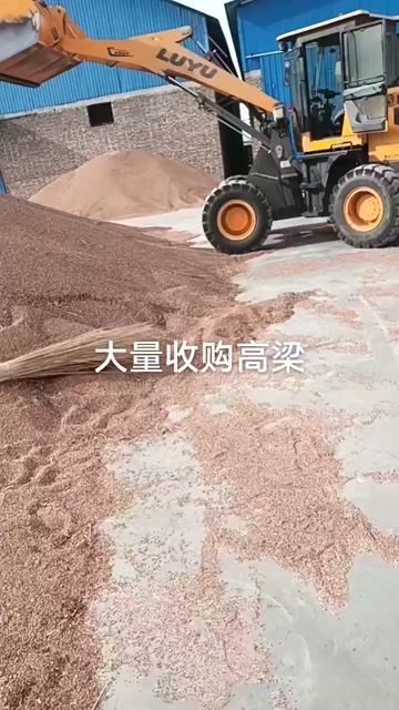 天镇县山西省大同市天镇县梗高粱毛货