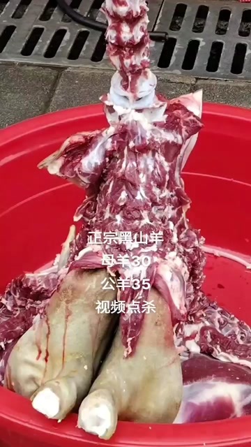 威宁县羊肉，视频点杀