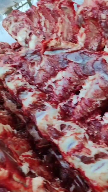 牛骨头，