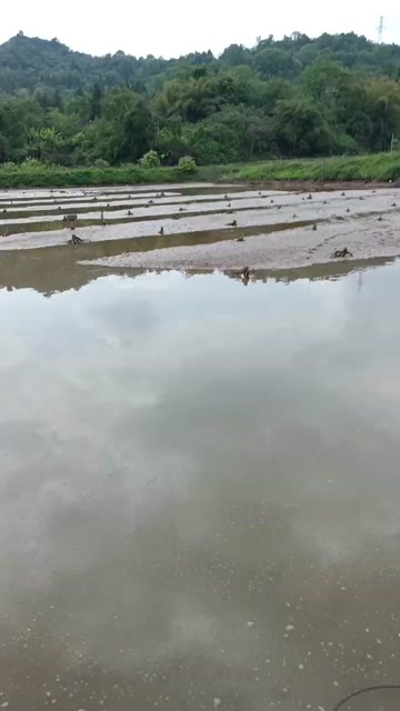 安岳县鱼塘转让出租
