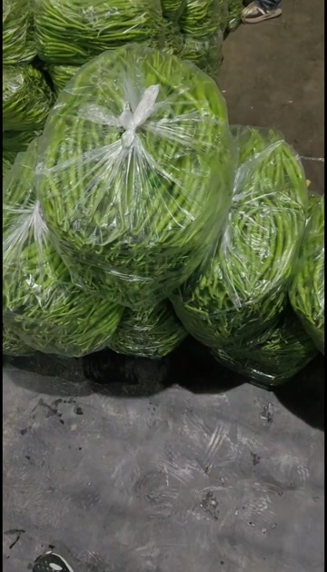 绵竹市二荆条 薄皮