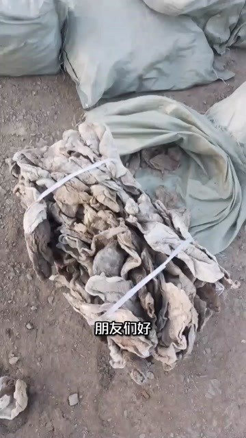 二连浩特盐干羊肚