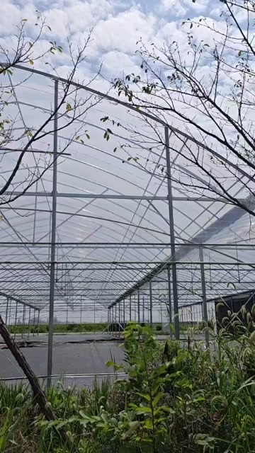 无锡蔬菜大棚管 温室大棚膜 黑白膜 连栋大棚材料批发 厂家直销