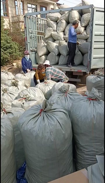 方城县河南南阳新鲜芝麻叶 产地直发绿色健康
