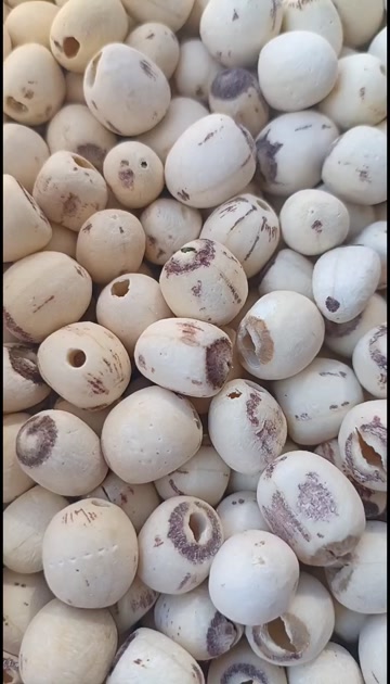 昆明莲子/白莲子/精选好货/批发兼零售，量大可商议，全国包邮