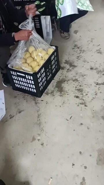 乾县陕西咸阳乾县新鲜酥梨直发批发零售