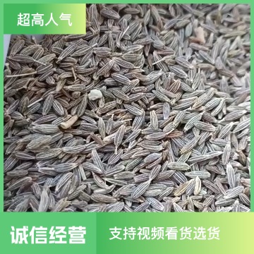 新疆孜然/香味浓郁/味道纯正/颗粒饱满/色泽均匀/好货/包邮