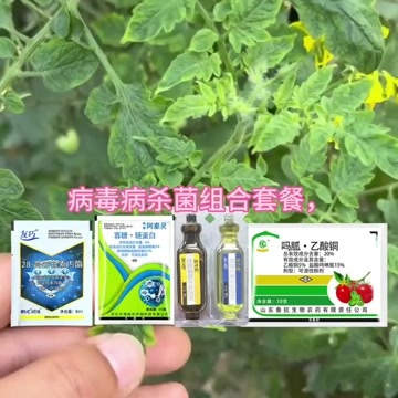 潍坊病毒病专用杀菌组合阿泰灵寡糖链蛋白吗呱乙酸铜病毒配方套餐农药