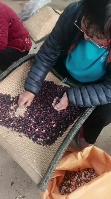 宁陵县黑花生 紫色花生果大量上市了质量保证自产自销欢迎选购