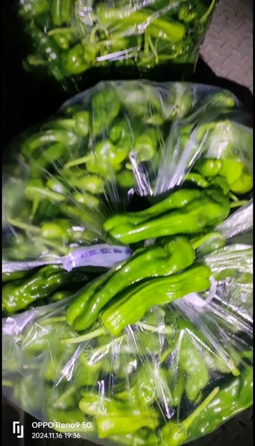 淮安簿皮青椒