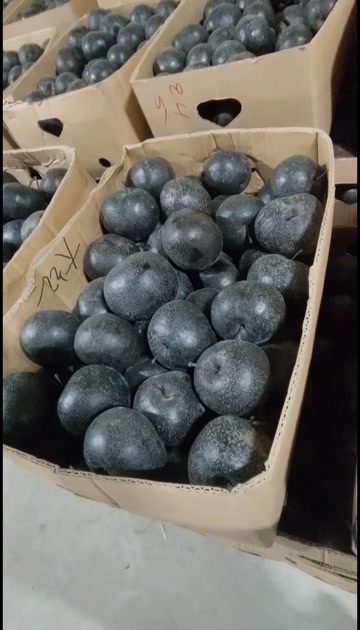 沈阳冻梨