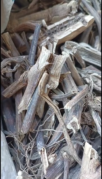 昆明排草/香排草/排香草/精选好货/批发兼零售，量大可商议，包邮