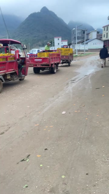 广东清远阳山砂糖橘，八月橘。无渣，水分足，甜度好