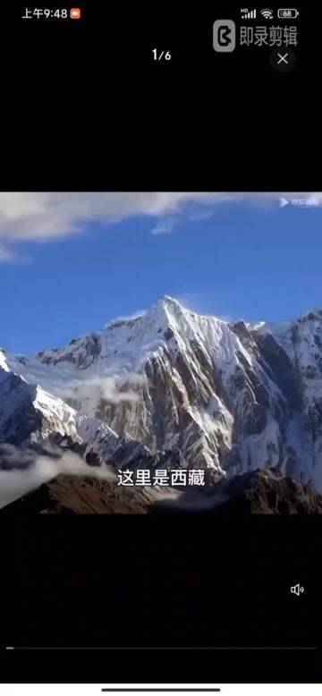 比如县2024年虫草人虫草头期整根装虫草滋补养生西藏那曲，批零