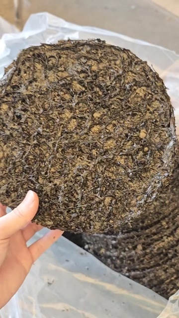 福安市福建宁德二水坛紫菜 新鲜快递发货