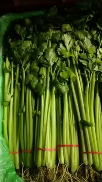 邯郸精品泡沫箱香芹，颜色好，直立行好，口感好