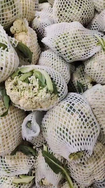 天门市花菜