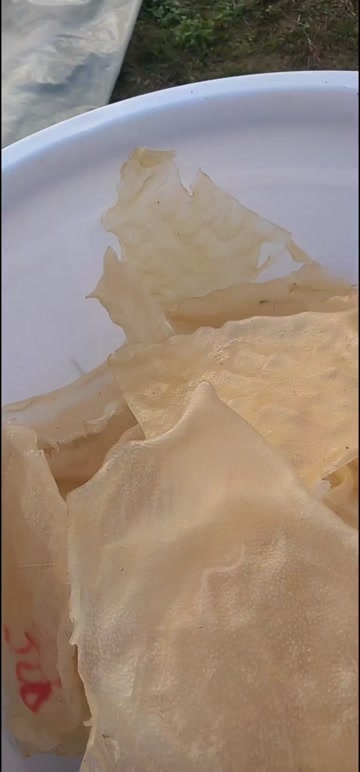 博白县猪皮干