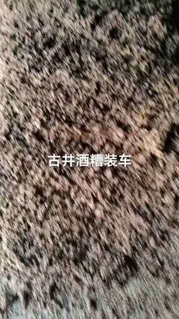 商丘糟渣类饲料