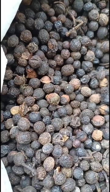 木姜子/山胡椒/精选好货/批发兼零售 量大可商议，全国包邮