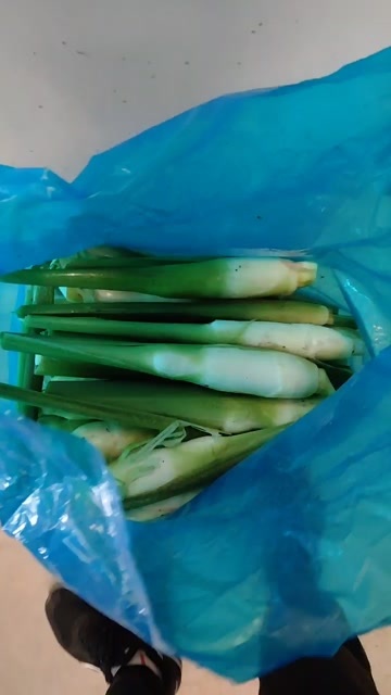衢州电商茭白，持续有量供应