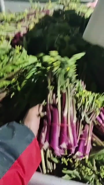 当阳市质量好，价格优，服务好，量大从优