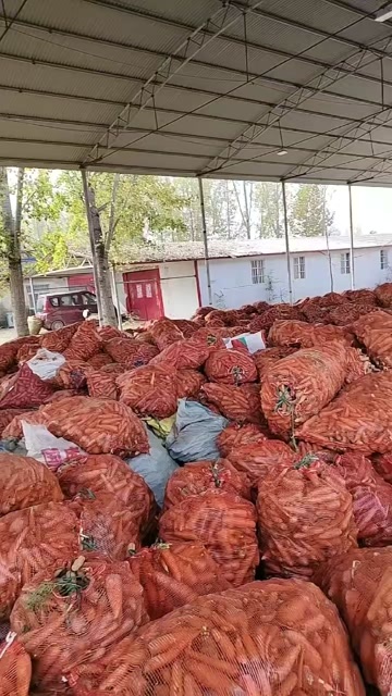 开封养殖场，加工厂红萝卜次品