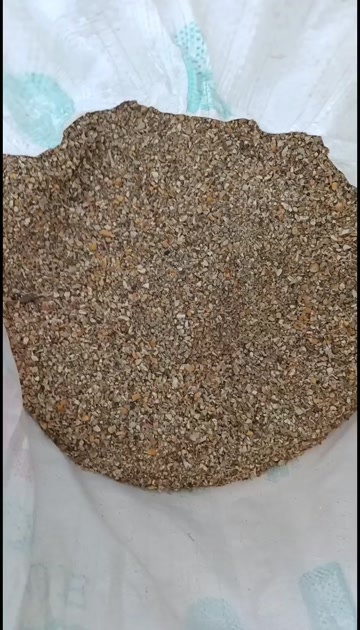 钦州钦州碎玉米，9个粮，可饲喂鸡鸭鹅，降低养殖成本。