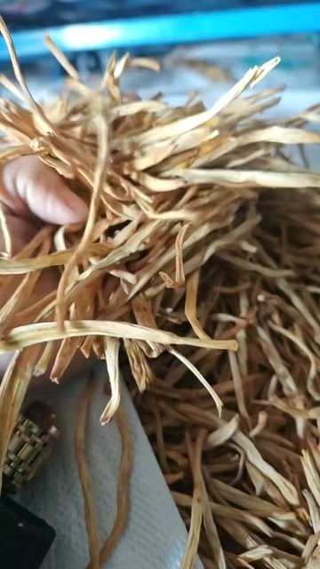 西安黄花菜 一件代发